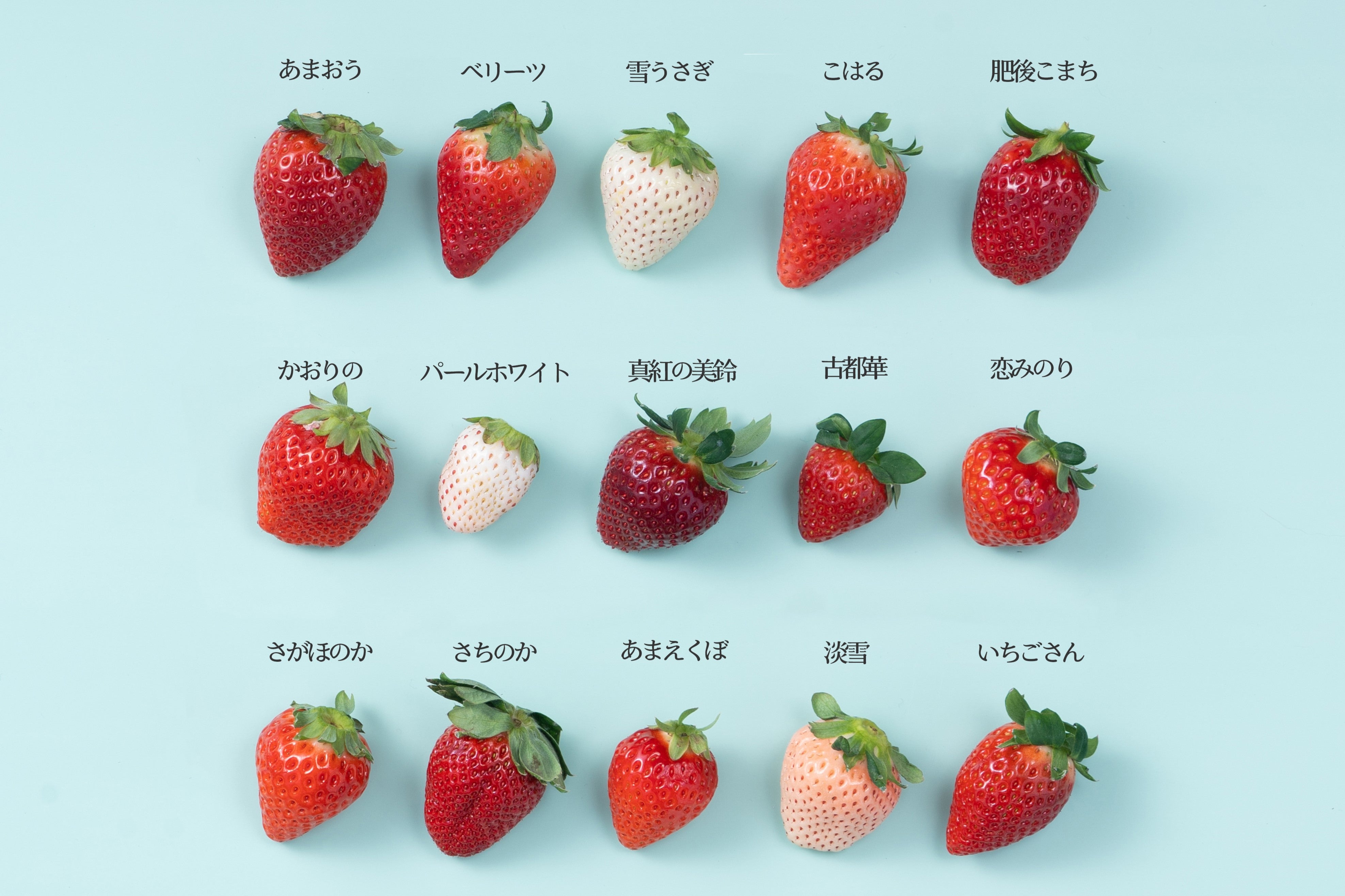 今年も期間限定で復活！】全種類違う苺。プレミアムな1箱を期間限定