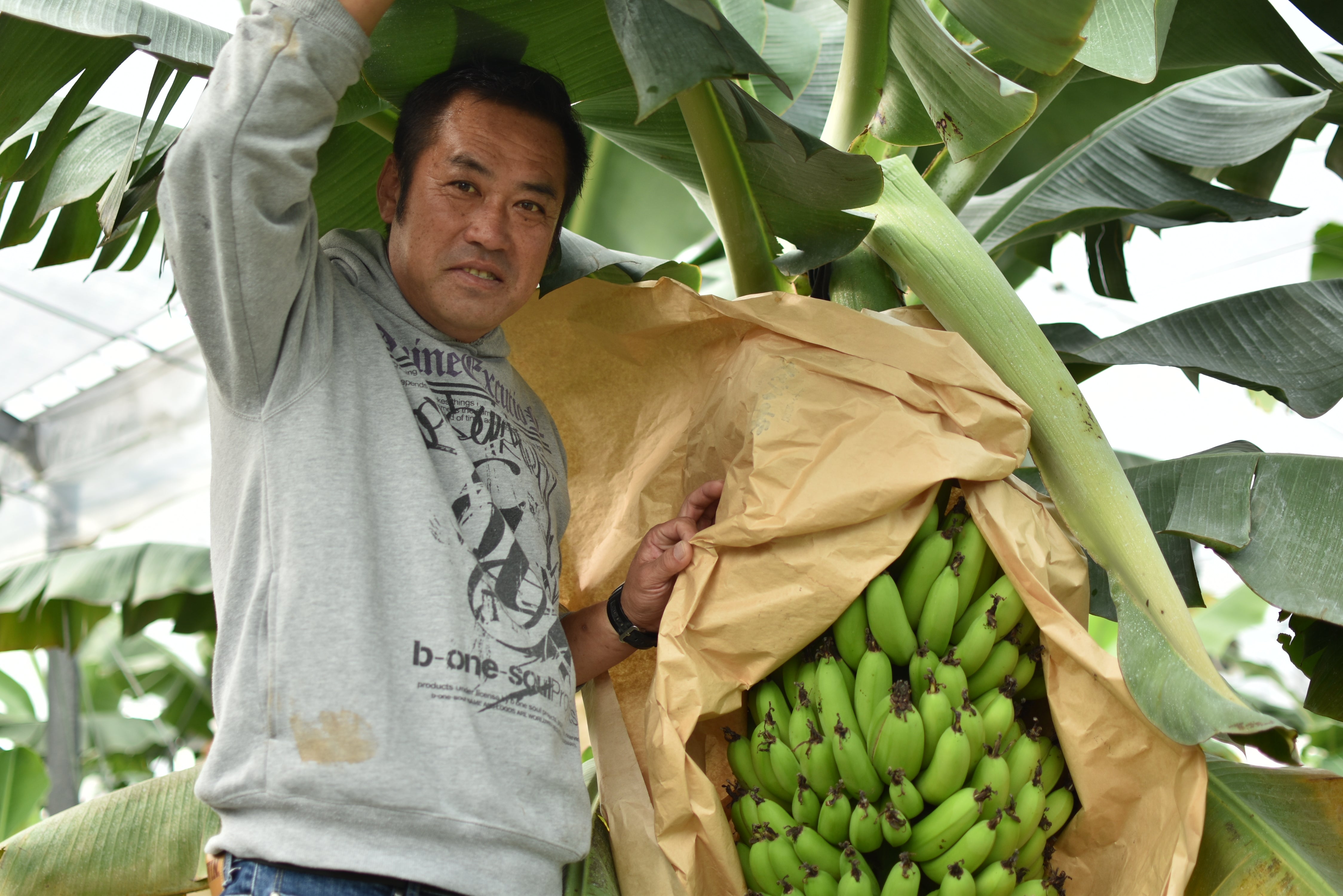 農薬不使用！子どもたちにも安心して食べてほしい！上田さんご夫妻の