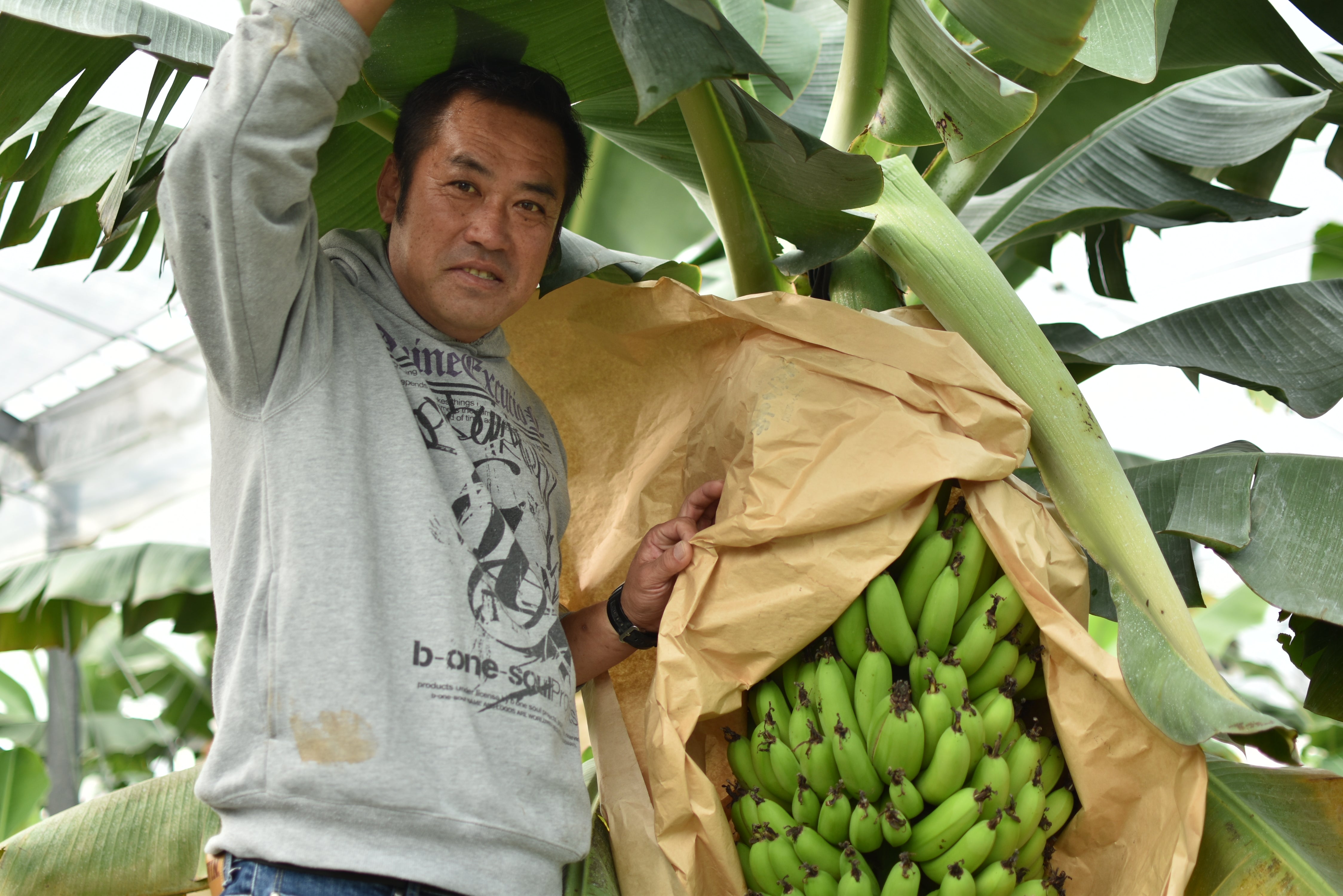 農薬不使用!子どもたちにも安心して食べてほしい!上田さんご夫妻の「なかなかバナナ」