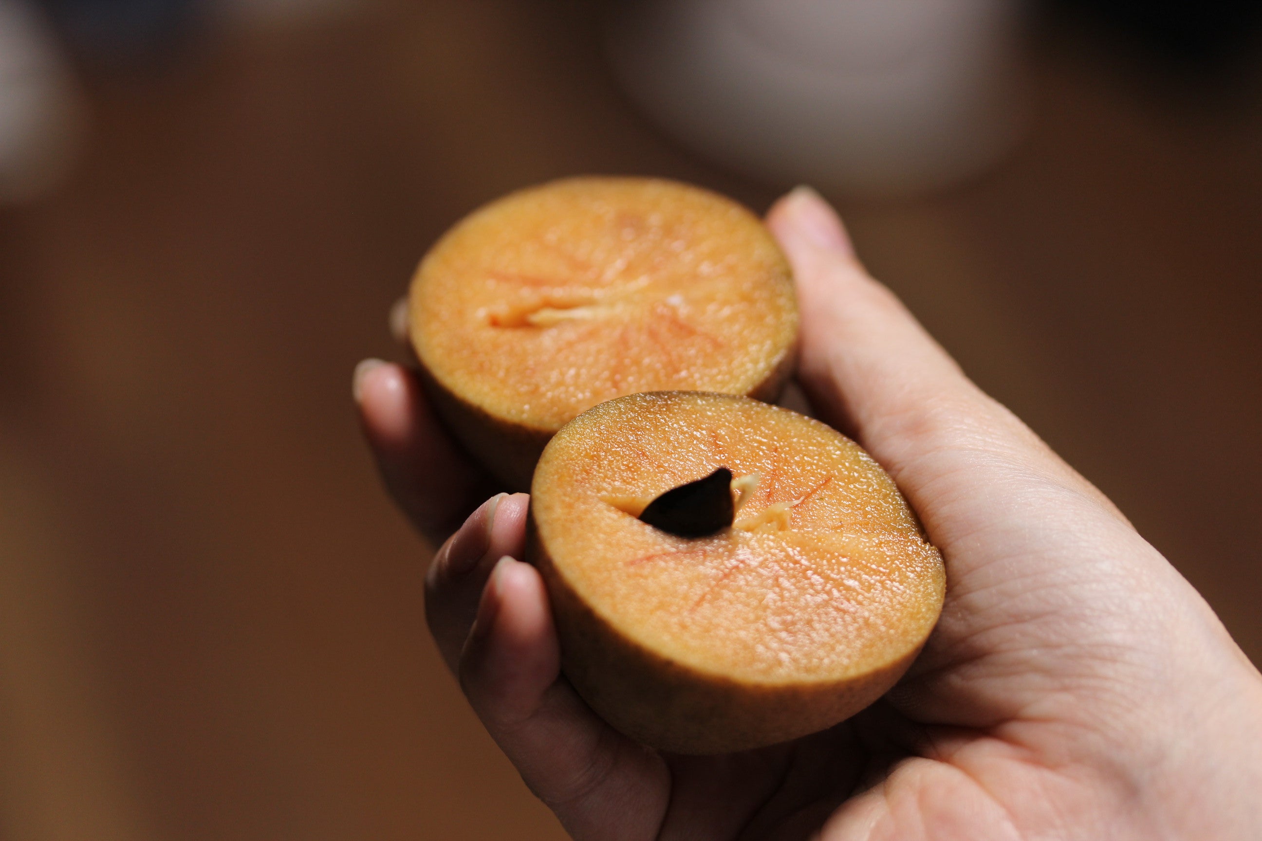 チューインガムのもと？【サポジラ】って何？！ – 南国フルーツ