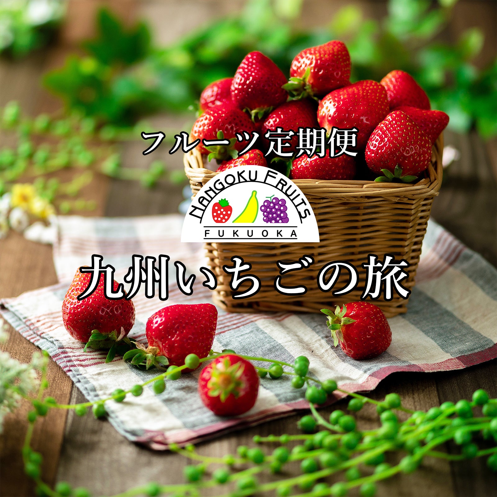 【定期便】いちごを通して九州を旅する!「九州いちごの旅」予約開始!