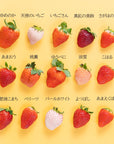 【予約販売】いちご12種食べ比べ