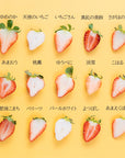 【予約販売】いちご12種食べ比べ