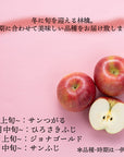 長野・青森産 林檎詰合せ