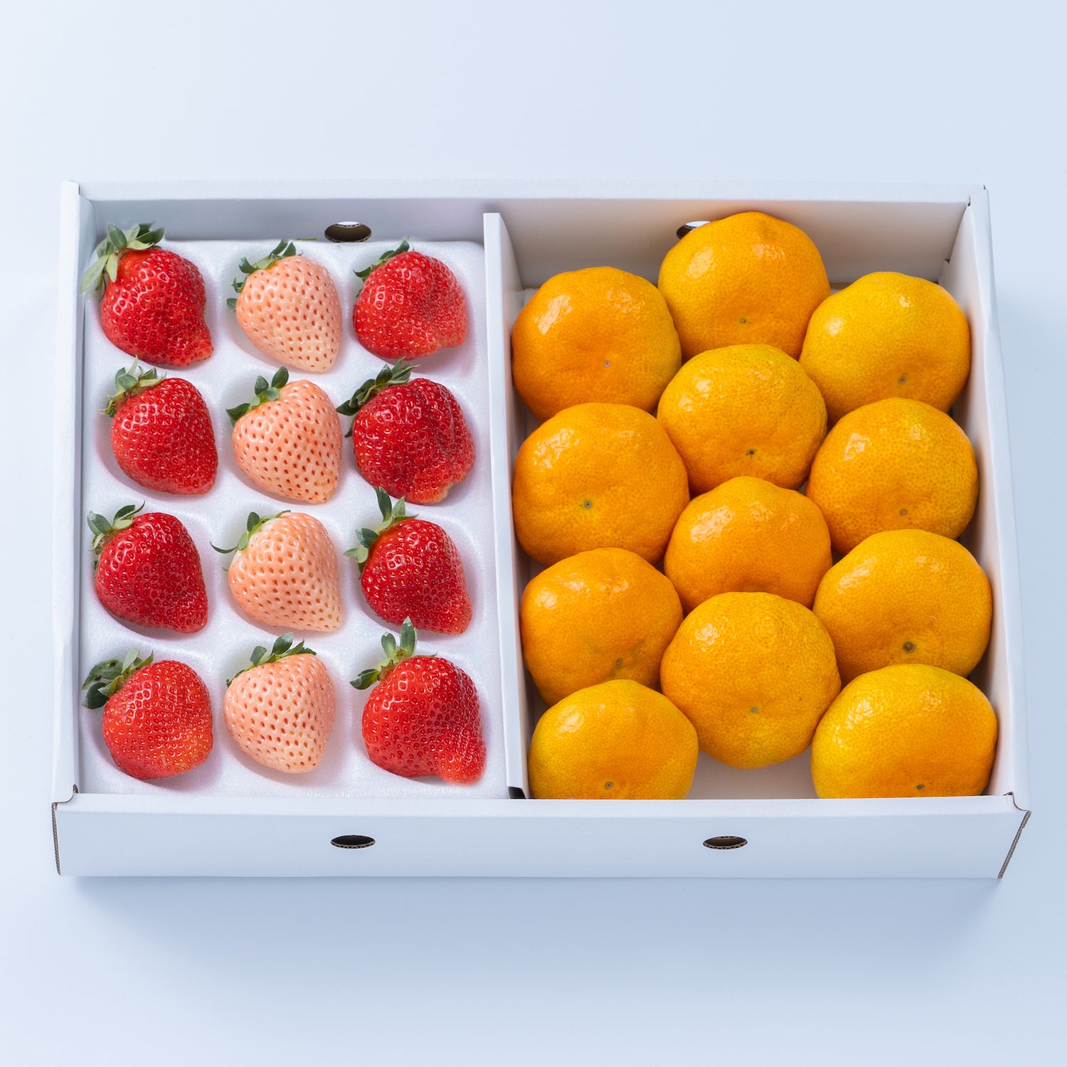 【予約販売】旬のフルーツセット F23