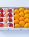 【予約販売】旬のフルーツセット F23