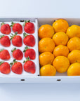 【予約販売】旬のフルーツセット F22