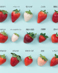 【予約販売】いちご5種食べ比べ
