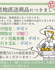 【産地直送】長崎県島原産 バナナ 「なかなかバナナ」