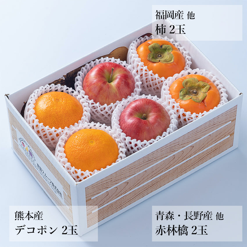 【予約販売】旬のフルーツセット F01
