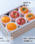 【予約販売】旬のフルーツセット F01