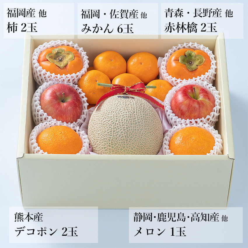 【予約販売】旬のフルーツセット F11