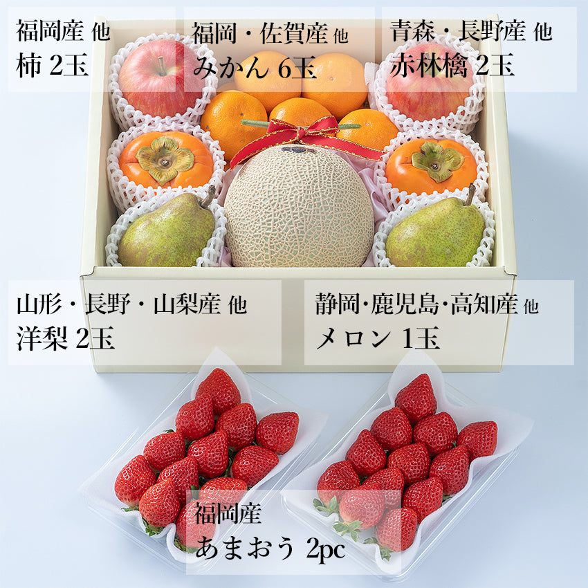 【予約販売】旬のフルーツセット F12