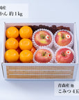 【予約販売】 旬のフルーツセット F28