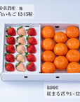 【予約販売】 旬のフルーツセット F30
