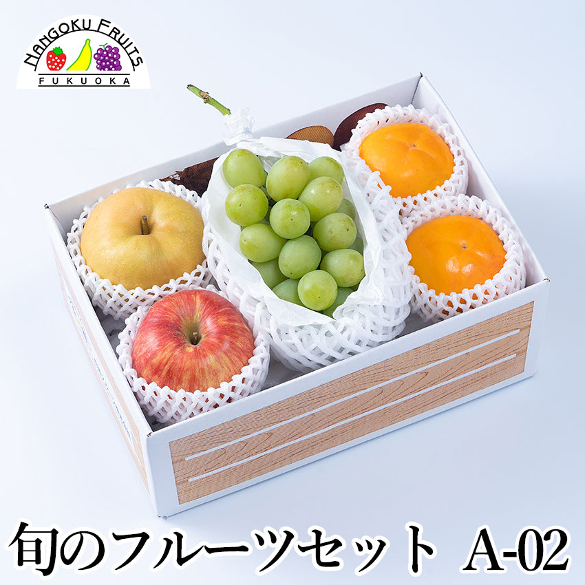 【予約販売】旬のフルーツセット A02