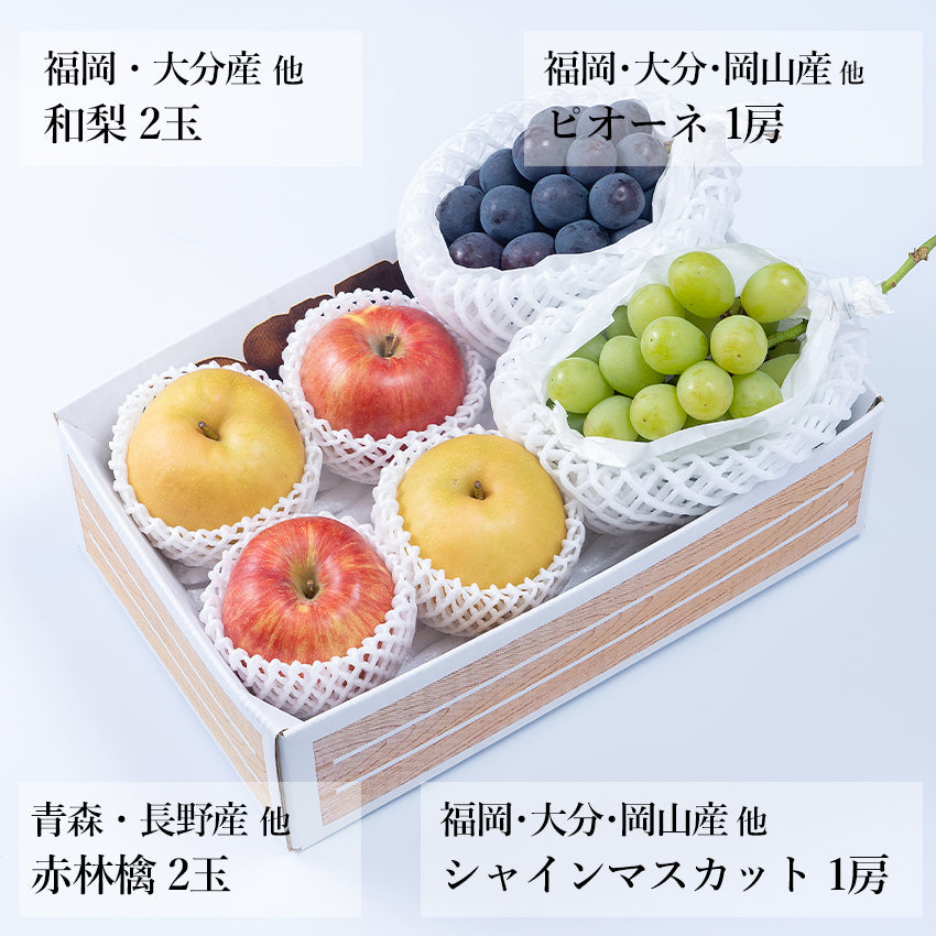 【予約販売】旬のフルーツセット A03