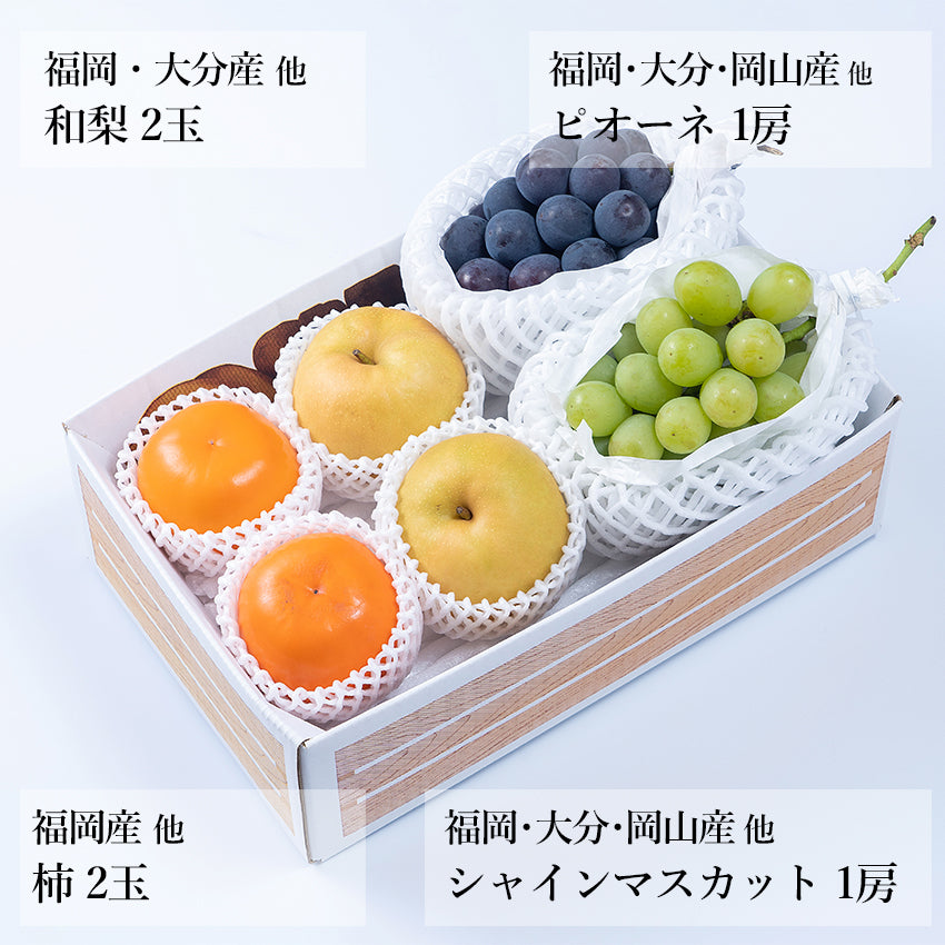 【予約販売】旬のフルーツセット A04