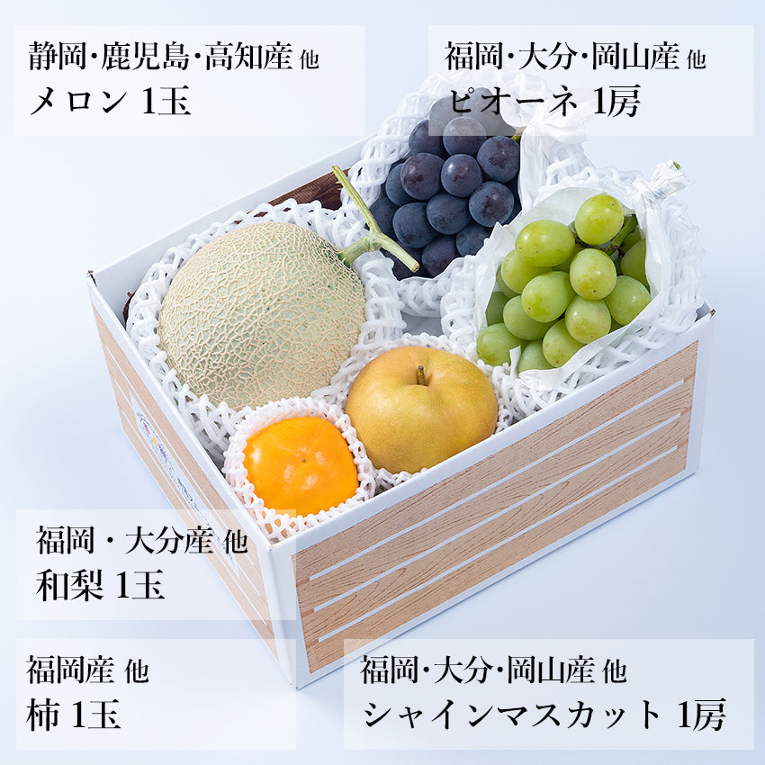 【予約販売】旬のフルーツセット A06