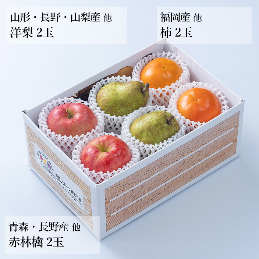 【予約販売】旬のフルーツセット A07