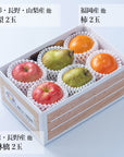 旬のフルーツセット A07