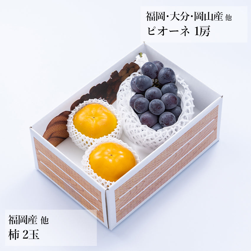 【予約販売】旬のフルーツセット A08