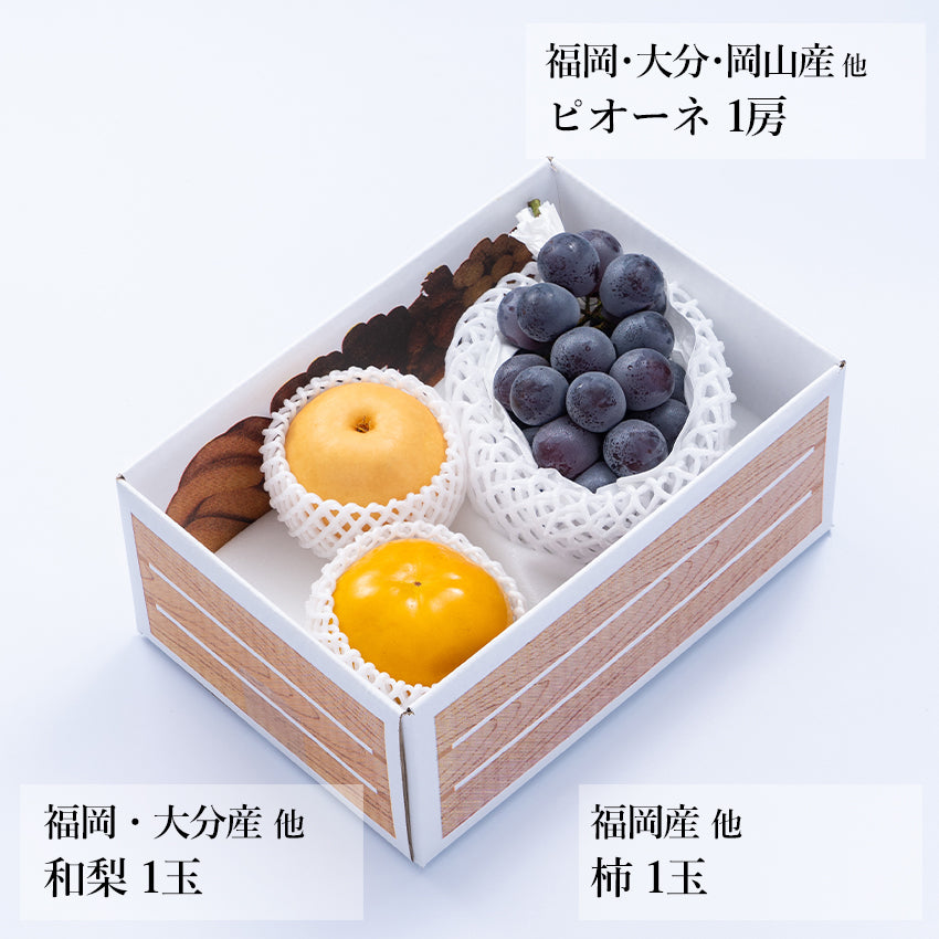 【予約販売】旬のフルーツセット A09