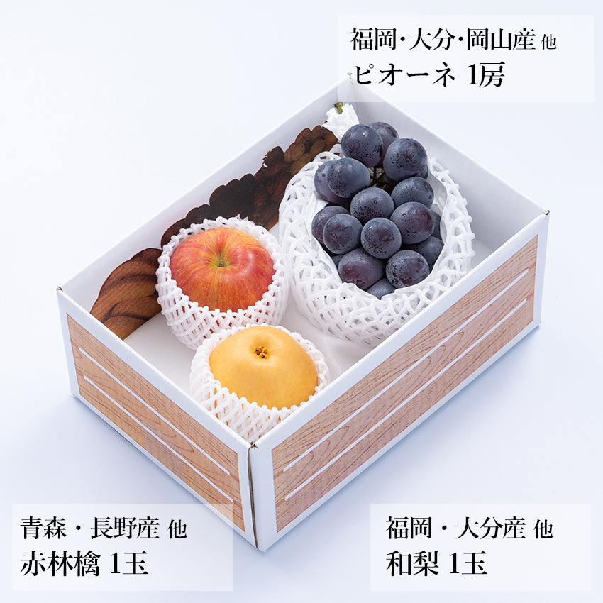 【予約販売】旬のフルーツセット A11