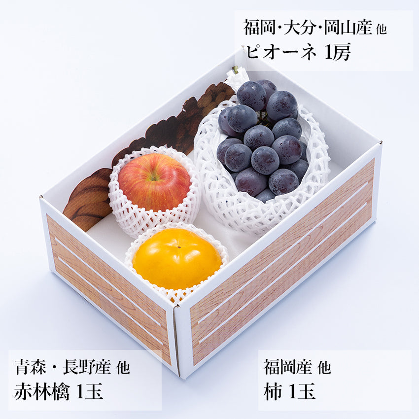 【予約販売】旬のフルーツセット A12
