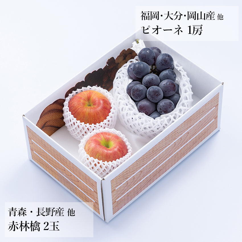【予約販売】旬のフルーツセット A13