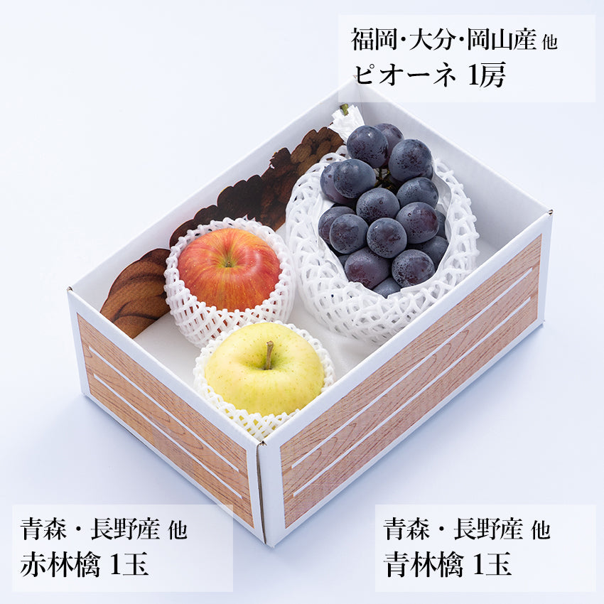 【予約販売】旬のフルーツセット A14