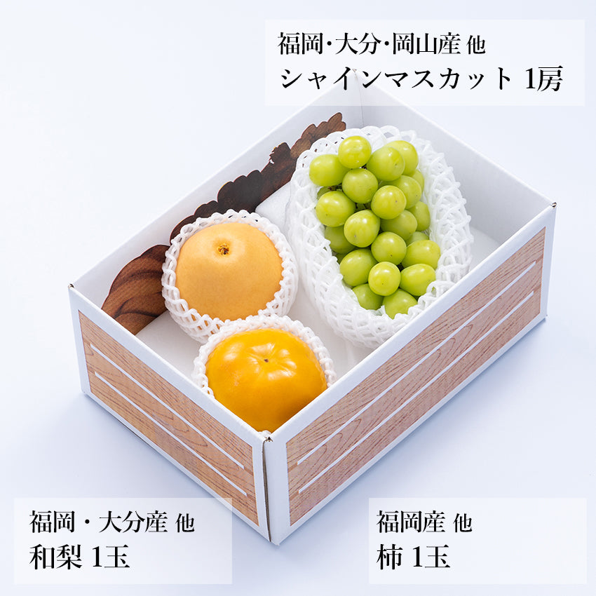 【予約販売】旬のフルーツセット A16