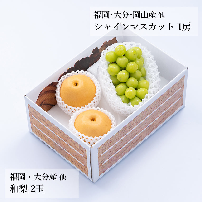 旬のフルーツセット A17
