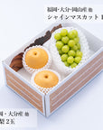旬のフルーツセット A17