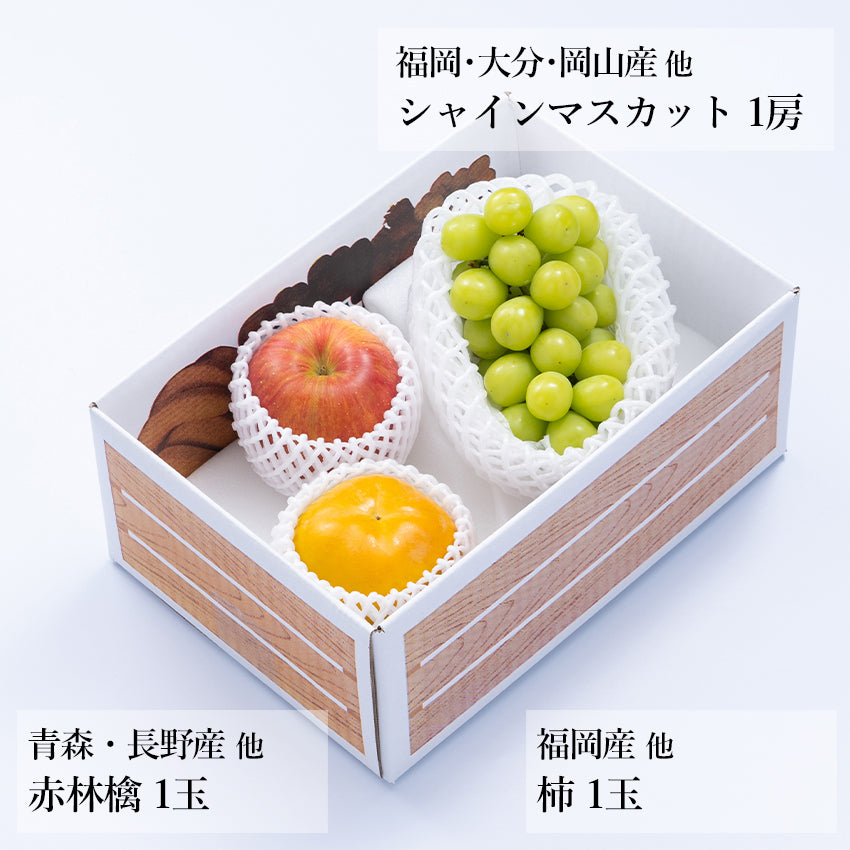 【予約販売】旬のフルーツセット A18