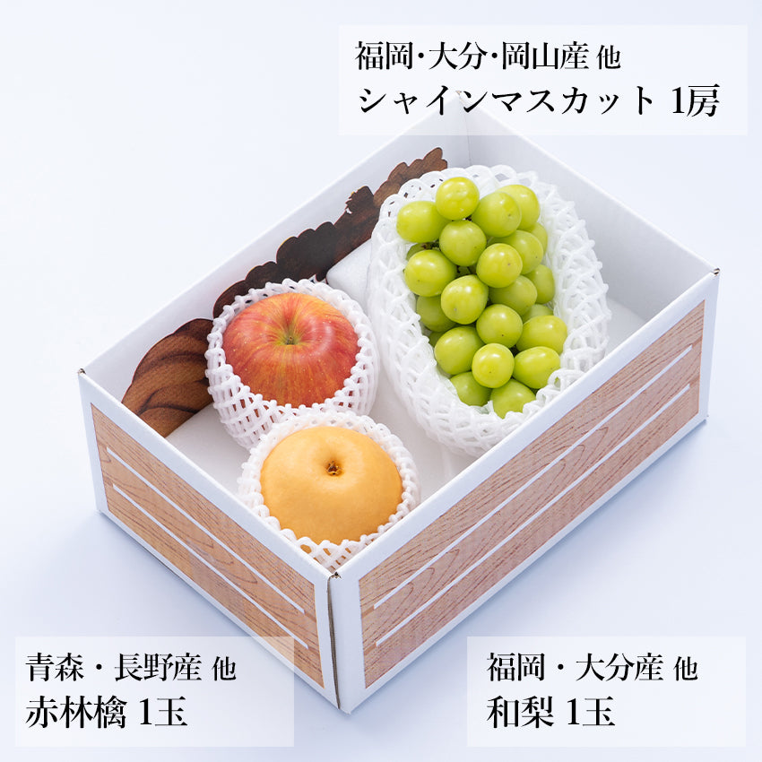 【予約販売】旬のフルーツセット A19