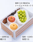 旬のフルーツセット A19