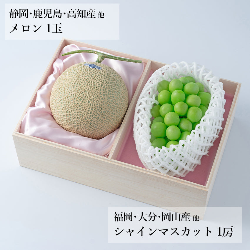 旬のフルーツセット N03