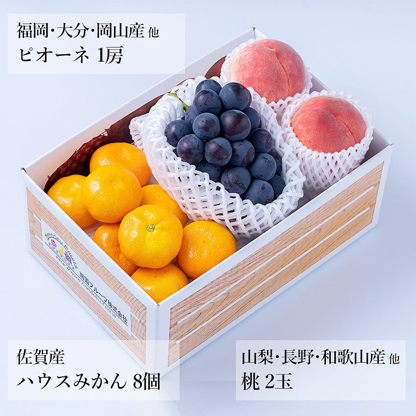 【予約販売】旬のフルーツセット N08