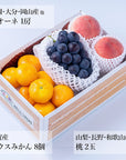 【予約販売】旬のフルーツセット N08