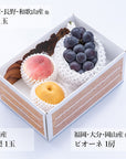 【予約販売】旬のフルーツセット N25