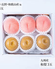 【予約販売】旬のフルーツセット N34