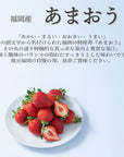 【予約販売】旬のフルーツセット F22