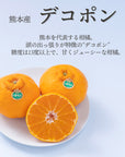 【予約販売】旬のフルーツセット F01