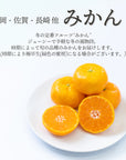 【予約販売】旬のフルーツセット F22