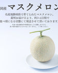 【予約販売】旬のフルーツセット F08