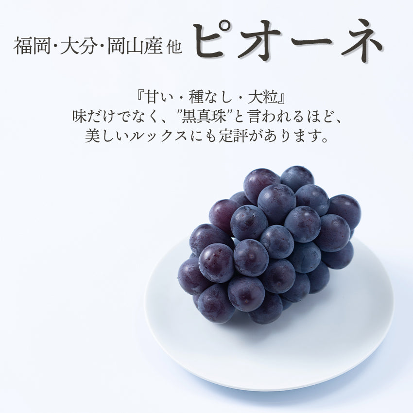旬のフルーツセット N14｜南国フルーツオンラインストア