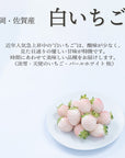 【予約販売】旬のフルーツセット F23