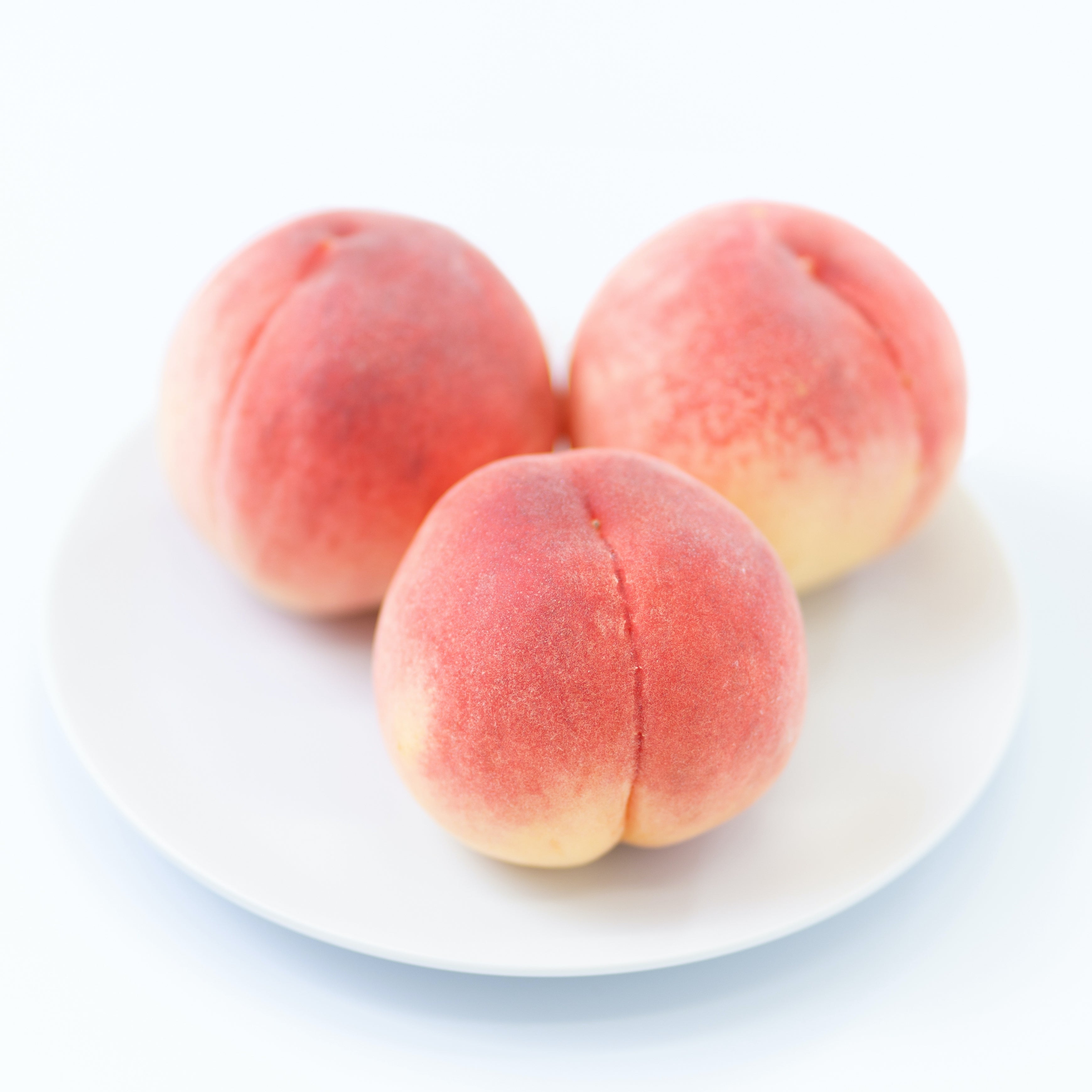 桃 もも ギフト お中元 贈答品 お歳暮