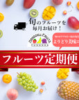 フルーツ定期便 頒布会 旬